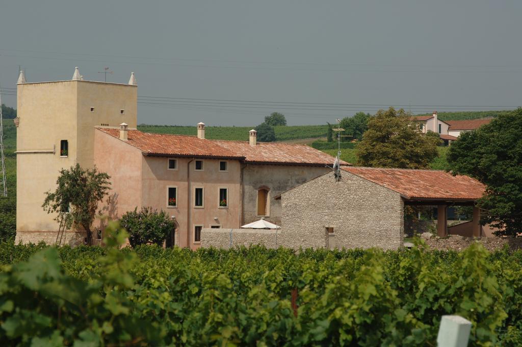 Agriturismo Nicobresaola Sommacampagna Luaran gambar